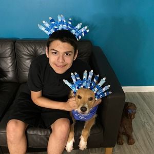 Meet your Posher, Donna